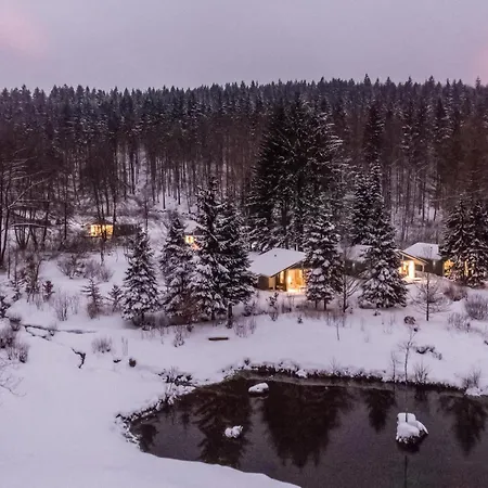 Cozy In With Sauna Holiday home